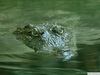 Как помочь больному человеку - last post by Alligator