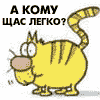PHARAON's Photo